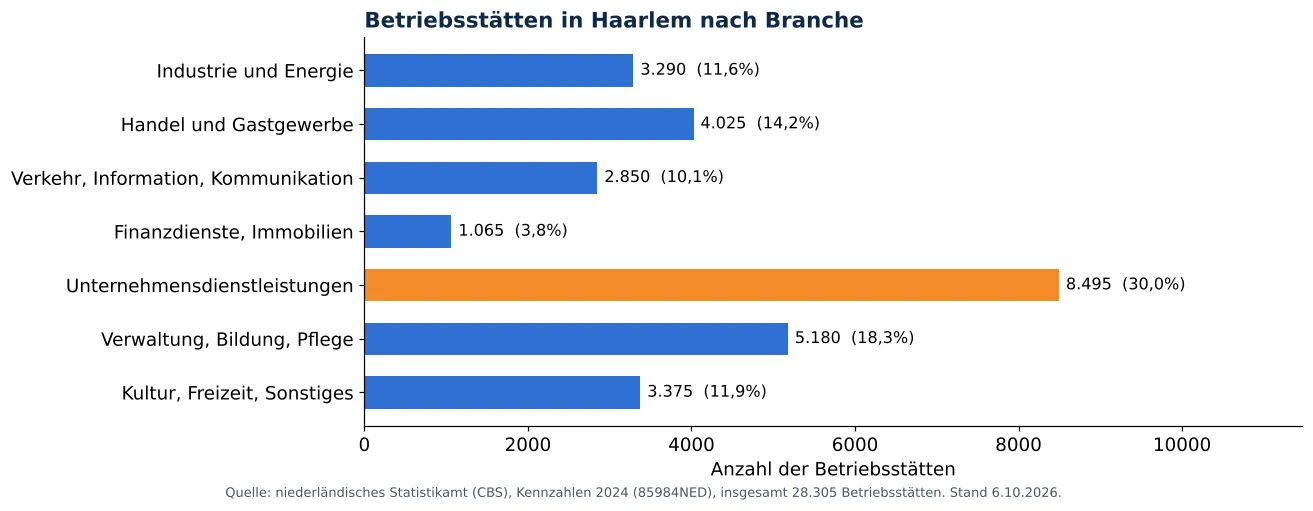 Lüftungskanalreinigung in Haarlem: anzahl der Betriebsstätten je Branche laut CBS 2024 (Grafik)