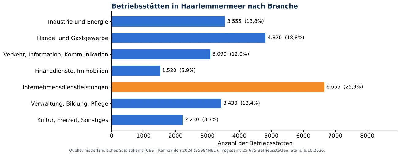 Lüftungskanalreinigung in Haarlemmermeer: anzahl der Betriebsstätten je Branche laut CBS 2024 (Grafik)
